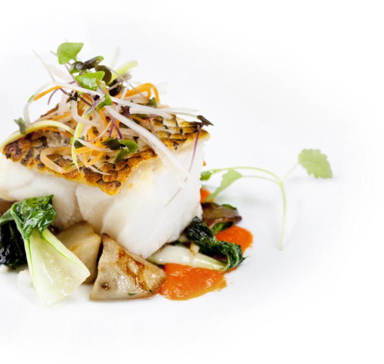 Gastronomie op niveau